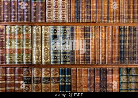 Nahaufnahme antiker Bücher mit Goldfolie geprägter Stachel auf einem Regal (Bibliothek im Knebworth House, UK) Stockfoto