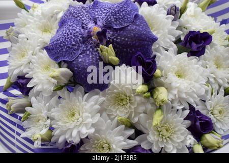 Ein wunderschön gestalteter Strauß aus weißen Chrysanthemen und Vanda Sansai Blue Orchid Blumen und Rosen. Draufsicht, Nahaufnahme. Stockfoto