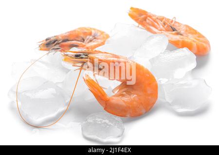 Garnelen mit Eiswürfeln auf weißem Hintergrund Stockfoto
