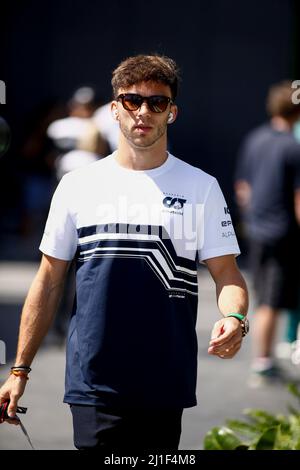 Sakhir, Bahrain. 25. März 2022. #10 Pierre Gasly (FRA, Scuderia AlphaTauri), F1 Grand Prix von Bahrain auf dem Bahrain International Circuit am 25. März 2022 in Sakhir, Bahrain. (Foto von HIGH TWO) Quelle: dpa/Alamy Live News Stockfoto