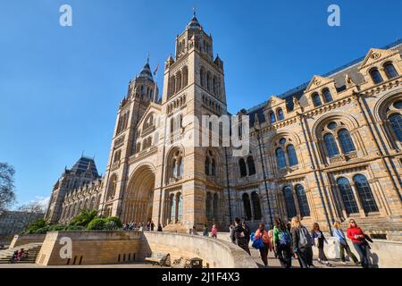 Eingang zum Naturhistorischen Museum Stockfoto