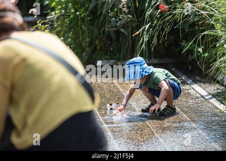 Sommerszenen aus der Highline in New York City Stockfoto