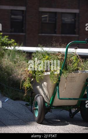 Sommerszenen aus der Highline in New York City Stockfoto