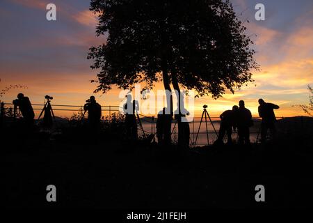 Fotografen bei Sonnenaufgang auf der Burgruine Lindelbrunn im Dahner Felsenland, Rheinland-Pfalz Stockfoto