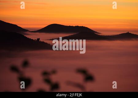 Sonnenaufgang auf der Burgruine Lindelbrunn im Dahner Felsenland, Rheinland-Pfalz, Deutschland Stockfoto