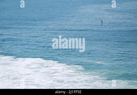 People Stand Paddle Boarding (SUP) in Turquoise Blue Atlantic Ocean, Rio de Janeiro, Brasilien, Südamerika Stockfoto