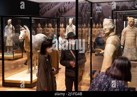 Kyoto, Japan. 25. März 2022. Besucher der Ausstellung „Terrakotta-Krieger und altes China-Erbe aus der Qin- und Han-Dynastie“ im Kyoto City Kyocera Museum of Art in Kyoto, Japan, 25. März 2022. Die am Freitag hier eröffnete Ausstellung findet auch in Shizuoka, Nagoya und Tokio statt. Quelle: Zhang Xiaoyu/Xinhua/Alamy Live News Stockfoto