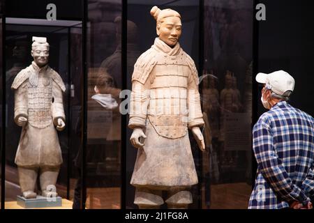 Kyoto, Japan. 25. März 2022. Besucher der Ausstellung „Terrakotta-Krieger und altes China-Erbe aus der Qin- und Han-Dynastie“ im Kyoto City Kyocera Museum of Art in Kyoto, Japan, 25. März 2022. Die am Freitag hier eröffnete Ausstellung findet auch in Shizuoka, Nagoya und Tokio statt. Quelle: Zhang Xiaoyu/Xinhua/Alamy Live News Stockfoto