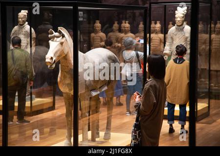 Kyoto, Japan. 25. März 2022. Besucher der Ausstellung „Terrakotta-Krieger und altes China-Erbe aus der Qin- und Han-Dynastie“ im Kyoto City Kyocera Museum of Art in Kyoto, Japan, 25. März 2022. Die am Freitag hier eröffnete Ausstellung findet auch in Shizuoka, Nagoya und Tokio statt. Quelle: Zhang Xiaoyu/Xinhua/Alamy Live News Stockfoto