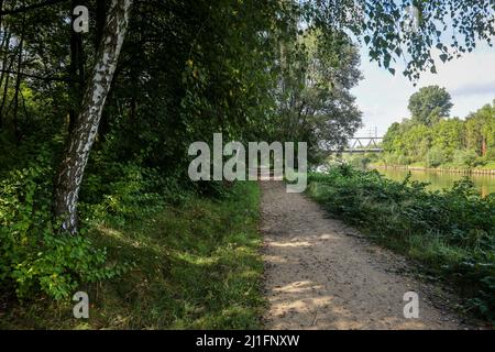 Essen, Nordrhein-Westfalen, Deutschland - Kanalbankpark Schurenbachhalde. Fahrrad- und Fußgängerweg entlang des Rhein-Herne-Kanals. Das Kanalufer par Stockfoto