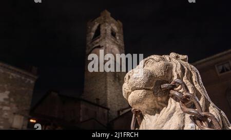 Nahaufnahme einer Löwenskulptur mit einer Metallkette auf der Piazza Vecchia bei Nacht Stockfoto