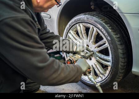 Reifenwerkstatt. Isolierter Mechaniker, der ein Leichtmetallrad an der Vorderachse eines Autos mit professioneller Luftaufprallschraubenpistole montiert. Stockfoto