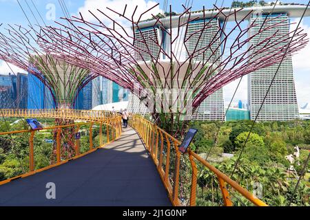 Singapur. Gardens by the Bay Stockfoto