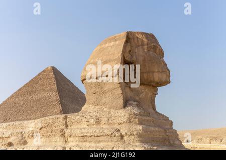 Große Sphinx von Gizeh, Kairo Stockfoto