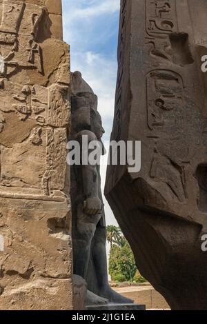 Stehende Statue von Ramses II, von der Rückseite einer sitzenden Statue von Ramses II, Luxor Tempel gesehen Stockfoto