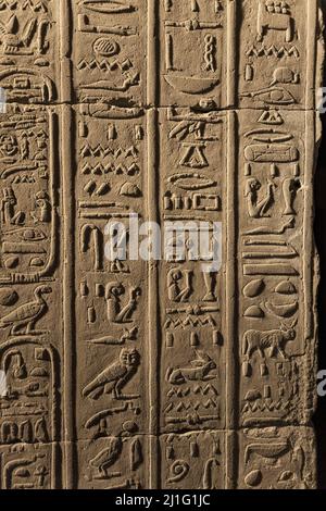 Geschnitzte Hieroglyphen im Tempel von Kom Ombo, in Assuan, in der Nacht Stockfoto