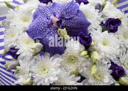 Ein wunderschön gestalteter Strauß aus weißen Chrysanthemen und Vanda Sansai Blue Orchid Blumen und Rosen. Draufsicht, Nahaufnahme. Stockfoto