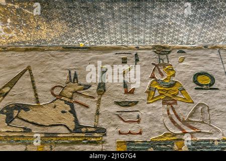 Dekorative Decken- und Wandmalereien mit Sternen von Anubis und Nephthys im Grab von Ramesses III, KV11, dem Tal der Könige Stockfoto