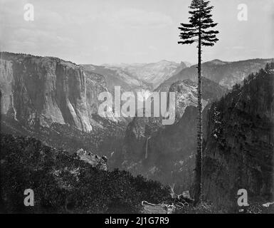 Yosemite Valley aus der Best General View des amerikanischen Fotografen Carleton E. Watkins (1829–1916), 1866 Stockfoto