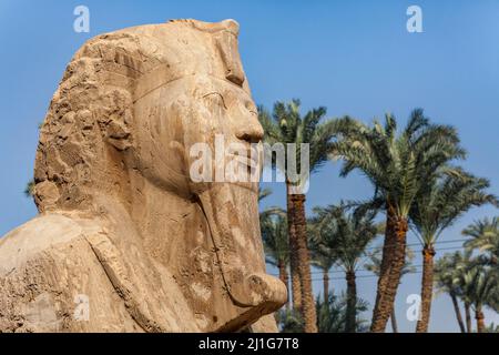 Alabaster Sphinx von Memphis, Ägypten Stockfoto