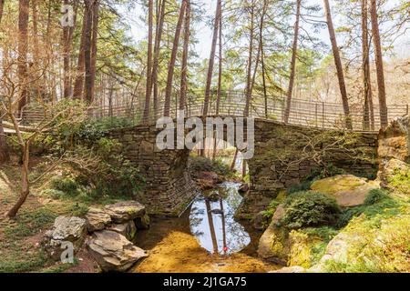 Sonniger Blick auf den japanischen Garten in den Garvan Woodland Gardens in Arkansas Stockfoto