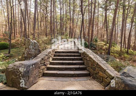 Sonniger Blick auf den japanischen Garten in den Garvan Woodland Gardens in Arkansas Stockfoto