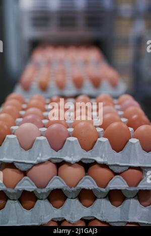 Dutzende von Dutzenden von Eiern. Schuss verpackter Hühnereier, die aus einer Maschine innerhalb einer Fabrik herausfahren. Stockfoto