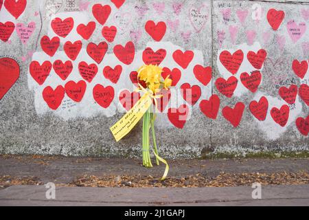 London, Großbritannien. 24.. März 2022. Am Nationalen Tag der Reflexion (der am 23.. März stattfand) wurden Blumen an der National Covid Memorial Wall zurückgelassen, die an die während der Pandemie verlorenen Leben und den zweiten Jahrestag der ersten nationalen Blockade des Coronavirus erinnern. Stockfoto