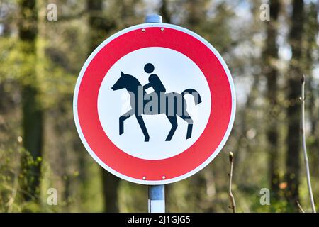 Schild mit Pferd und Reiter auf dem Weg zum Reiten im Wald Stockfoto