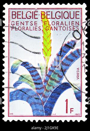 MOSKAU, RUSSLAND - 10. MÄRZ 2022: In Belgien gedruckte Briefmarke zeigt Flammendes Schwert (Vriesea splendens), Gent Flower Show 1965 Serie, um Stockfoto