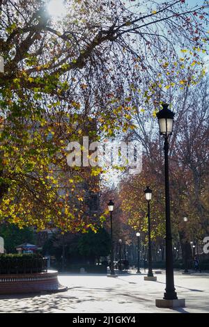 Herbstbäume und Straßenlaternen im Park Stockfoto