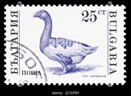 MOSKAU, RUSSLAND - 10. MÄRZ 2022: Die in Bulgarien gedruckte Briefmarke zeigt Domestic Goose (Anser anser domestica), domestizierte Tierserie, um 199 Stockfoto