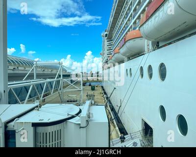 Orlando, FL USA - 10. Oktober 2021: Die MSC Cruise Lines Schiff Divina in Port Canaveral, Florida. Stockfoto