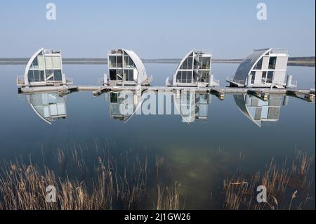 Elsterheide, Deutschland. 25. März 2022. Schilf wächst am Ufer vor schwimmenden Ferienhäusern am Geierswalde-See. Am 2. April 2022 feiert der Tourismusverband Lausitzer Seenland sein 10.-jähriges Bestehen. Quelle: Sebastian Kahnert/dpa-Zentralbild/dpa/Alamy Live News Stockfoto
