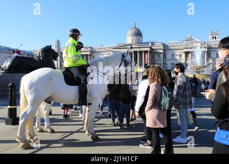 Berittene Polizisten im Dienst auf dem Trafalgar Square während einer Freiheitskundgebung im März 22 in London, Großbritannien Stockfoto