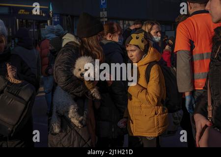 Polen. 14. März 2022. Eine Gruppe von Menschen, die vor dem Warschauer Hauptbahnhof gesehen wurden. Als Hauptzugangsstelle nach Polen empfängt der Hauptbahnhof von Przemy?l in der Nähe der Grenze zu Medyka eine große Anzahl von Flüchtlingen, die mit dem Bus nach Warschau und Krakau mit dem Zug kommen. Jeden Tag bieten Freiwillige Hilfe und Essen. (Foto von Natalia Campos/SOPA Images/Sipa USA) Quelle: SIPA USA/Alamy Live News Stockfoto