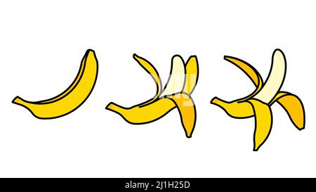 Bananen-Symbole - ganze Banane, geschälte Banane, bereit, Banane zu essen. Set von Früchten auf weißem Hintergrund. Moderne Illustration, Gruppe von Symbolen. Stock Vektor