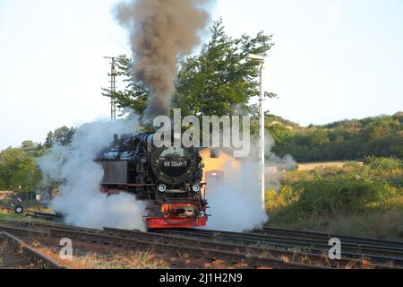 Dampflokomotive am Bahnhof in Gernrode im Harz, Sachsen-Anhalt, Deutschland Stockfoto