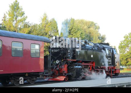 Schmalspurbahn-Dampflokomotive am Bahnhof in Gernrode im Harz, Sachsen-Anhalt, Deutschland Stockfoto