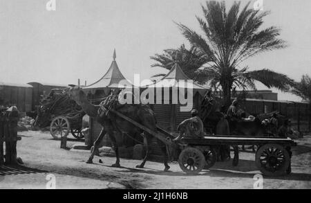 Ein Kamelkarren Karachi Stockfoto