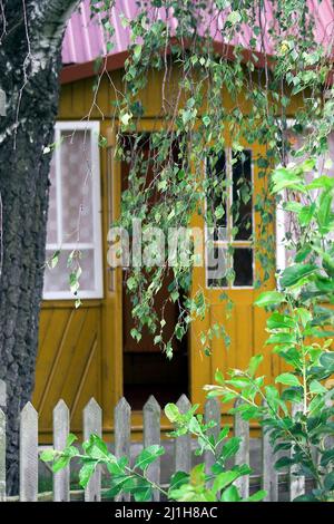 Wytyczno Polesie, Polesien, Poleski Park Narodowy, Polska, Polen, Polen, hölzerne Veranda eines Landhauses im Schatten einer großen Birke Stockfoto