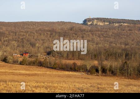 Golden Field auf dem Bauernhof neben einem bewaldeten Hügel Stockfoto