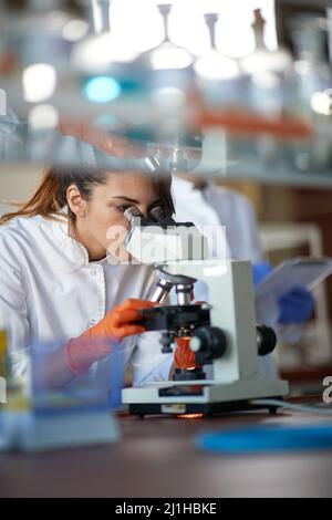 Eine junge Studentin, die mit einem Mikroskop in einer sterilen Laborumgebung arbeitet. Wissenschaft, Chemie, Labor, Menschen Stockfoto