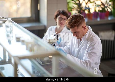 Männchen mit Weibchen im Labor, das mit dem Mikroskop arbeitet Stockfoto