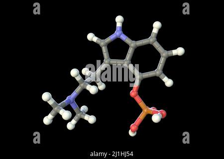Meskalin-Wirkstoffmolekül, Abbildung Stockfoto