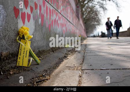 London, Großbritannien. 25. März 2022. Neben der National COVID Memorial Wall werden Blumen gelegt. Jeden Freitag lackieren Freiwillige die Herzen an der nationalen COVID-Gedenkmauer, da die vorherigen Herzen aufgrund des Wetters verblassten. Über 150.000 Herzen wurden bis heute an die Wand vor dem St. Thomas' Hospital gegenüber dem Parlamentsgebäude gemalt, um jedes Leben zu gedenken, das im Vereinigten Königreich aufgrund der COVID-Pandemie seit 2019 verloren gegangen ist. Kredit: SOPA Images Limited/Alamy Live Nachrichten Stockfoto