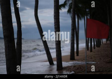 Warnung: Raues Meer! Unter Palmen flattert die rote Flagge, hinter ihnen stehen starke Wellen unter grauem Himmel Stockfoto