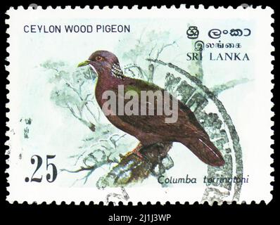 MOSKAU, RUSSLAND - 12. MÄRZ 2022: Die in Sri Lanka gedruckte Briefmarke zeigt Ceylon Wood Pigeon (Columba torringtoni), Birds Serie, um 1983 Stockfoto