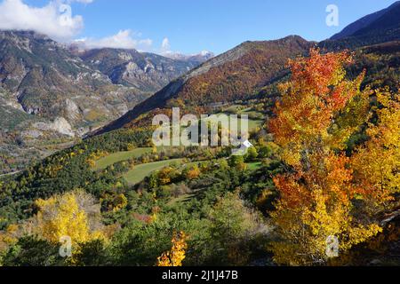 Farbenfrohe Blätter in Serre Ponçon, Südalpen, Frankreich Stockfoto