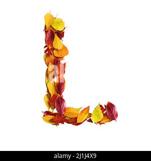 3D Alphabet aus Blättern, Herbst, 3D Darstellung auf weißem Grund, Großbuchstabe L Stockfoto